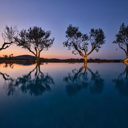 Zamira Isterni (Paros)